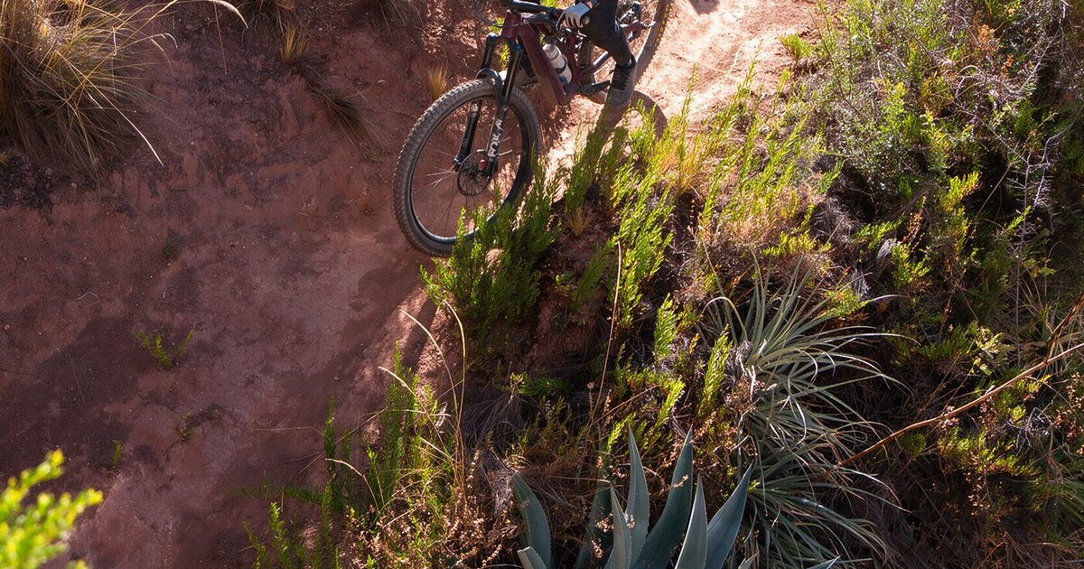 Two riders descending the Inca trail at Lares through agaves